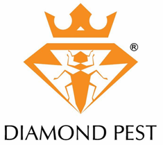 DIAMOND PEST
